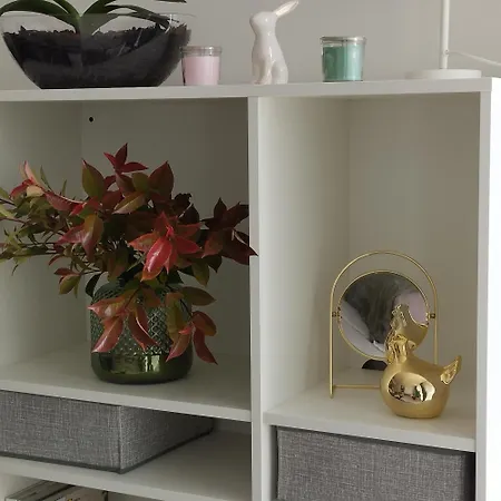 Cedrus Liget - *